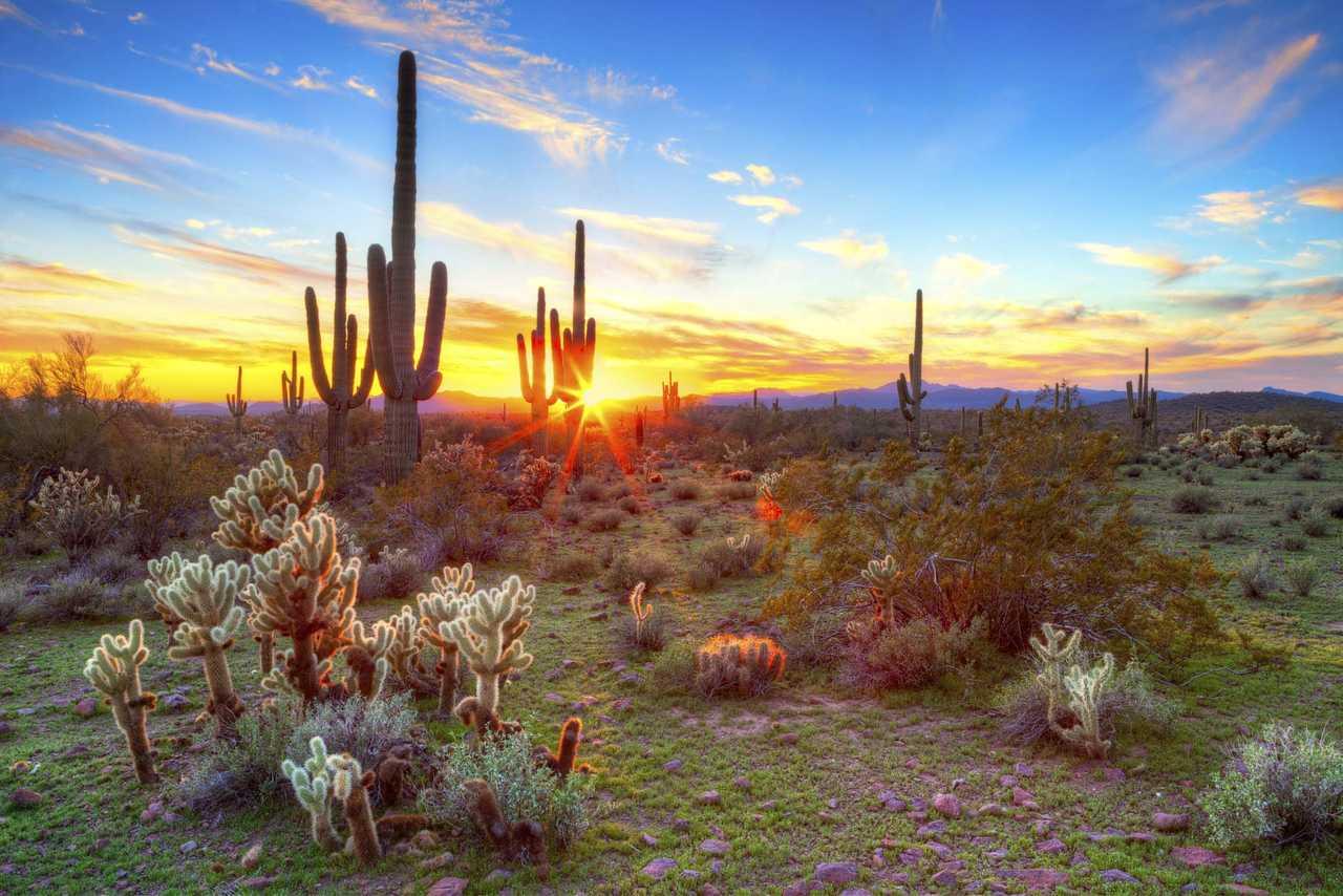 Cambria Hotel Phoenix Chandler - Fashion Center エクステリア 写真